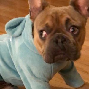 Meet your Posher, Ethan